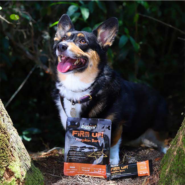 Diggin Your Dog Firm Up! - Digestive Aid Pumpkin Bar - 2.1 oz image number null