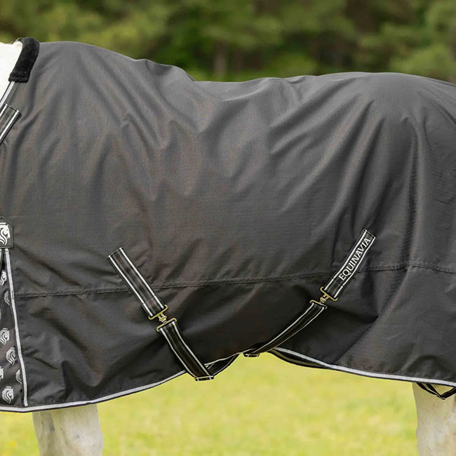Equinavia Norse Fleece-Lined Turnout Blanket - Black image number null