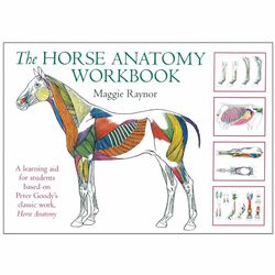 The Horse Anatomy Workbook