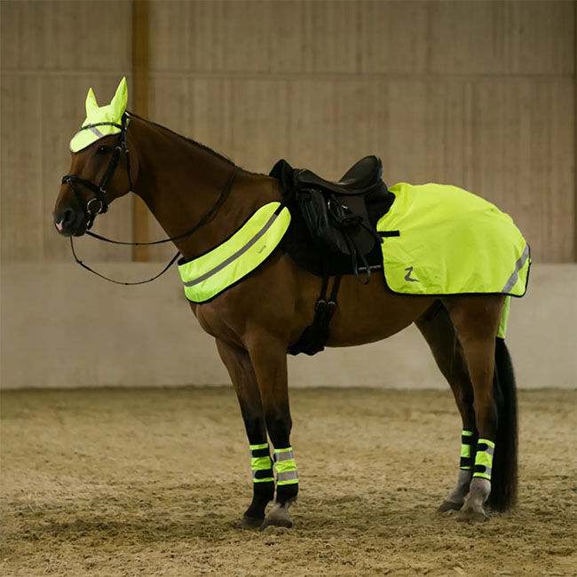 Horze Reflective Harness - Yellow image number null