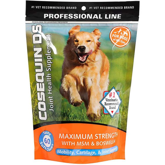Cosequin DS Maximum Strength Plus MSM and Boswellia Soft Chews for Dogs - 60ct image number null