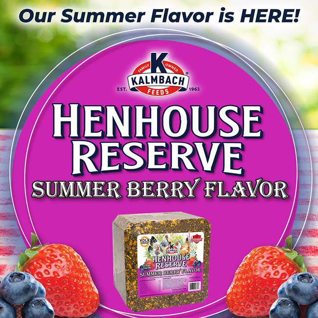 Kalmbach Feeds Henhouse Reserve Block - Summer Berry - 20 lb image number null