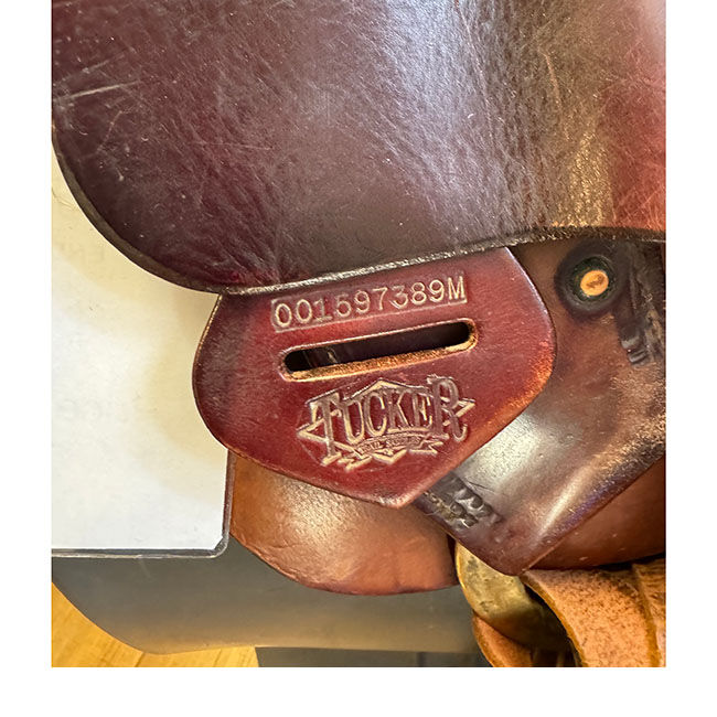 Used Tucker Endurance Saddle - 17.5" image number null