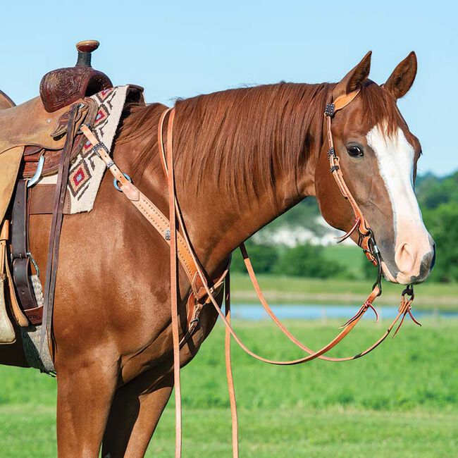 Weaver Single-Ply Heavy Harness Split Reins image number null
