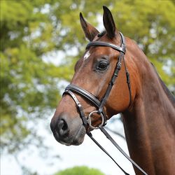 Kincade Padded Flash Bridle - Closeout