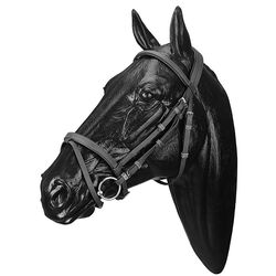 Wintec Synthetic Bridle with Flash Noseband