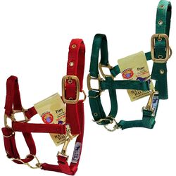 Hamilton Pony 3/4" Adjustable Chin Halter with Snap