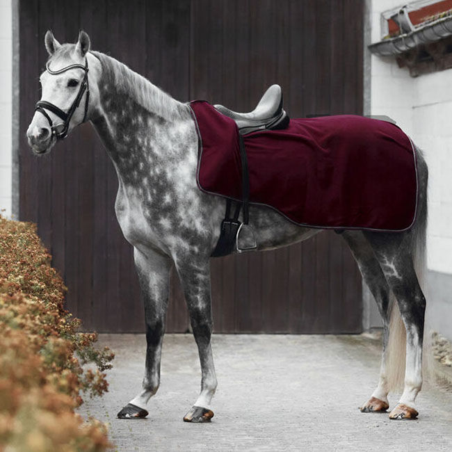 Horze Kiel Fleece Riding Rug - Dark Red image number null