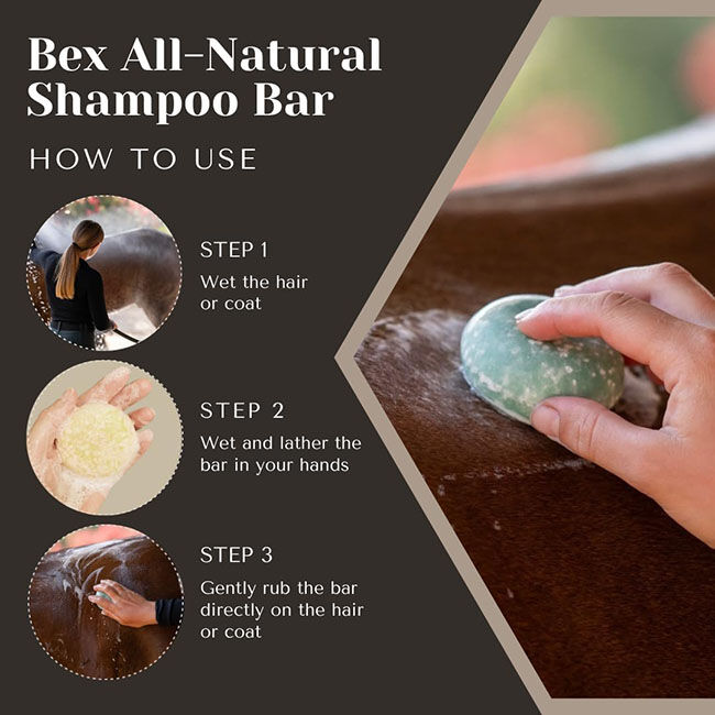 Bex Bar Soap Co Shampoo Bar - Eucalyptus Rain image number null