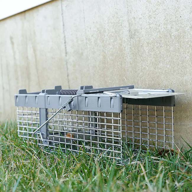 Havahart Small 1-Door Live Animal Trap image number null