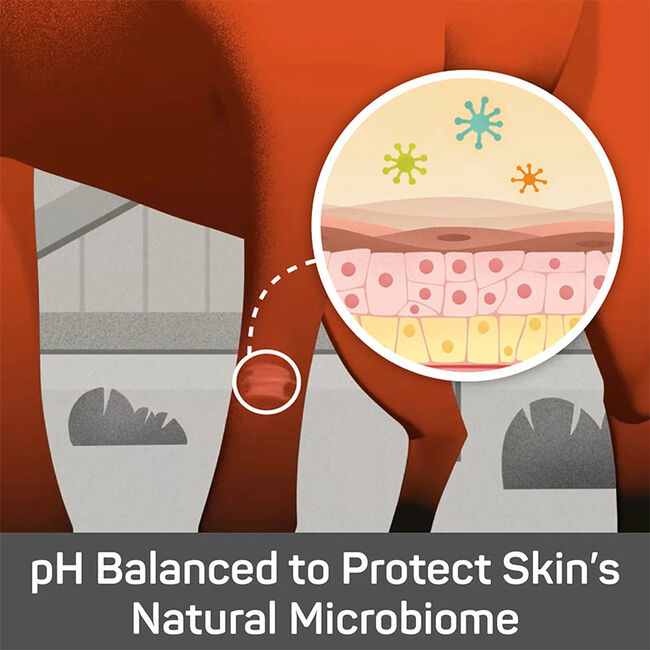 Absorbine Silver Honey Medicated Shampoo image number null