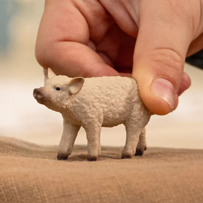 Schleich Mangalica Piglet image number null