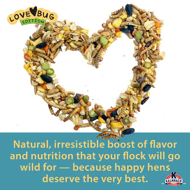 Kalmbach Feeds Henhouse Reserve Love Bug for Chickens & Poultry - 30 lb image number null