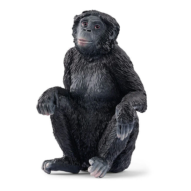 Schleich Bonobo Female image number null