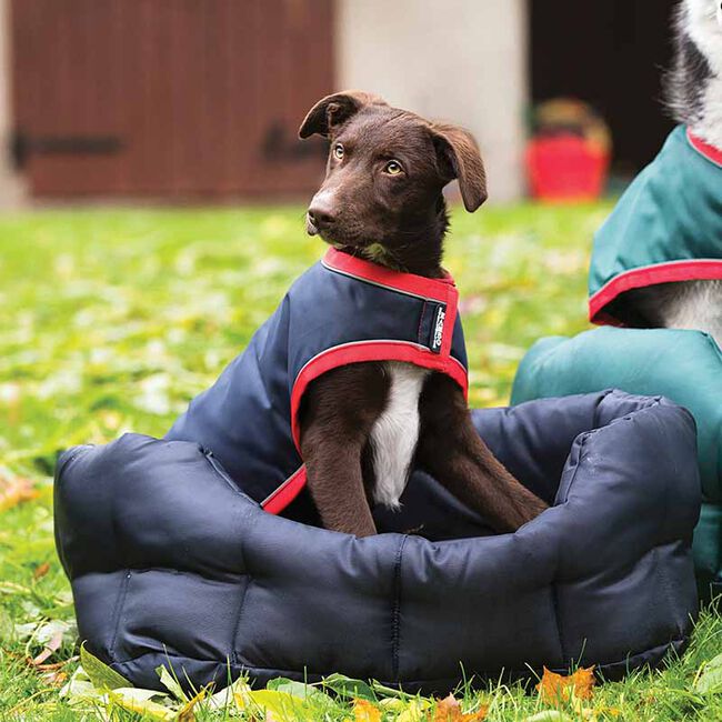 Horseware Rambo Waterproof Dog Coat The Cheshire Horse