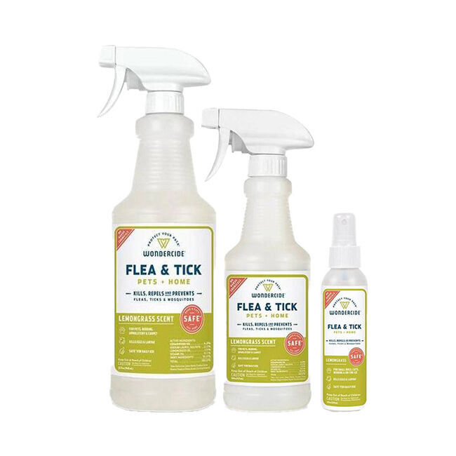 Flea killing 2025 essential oils