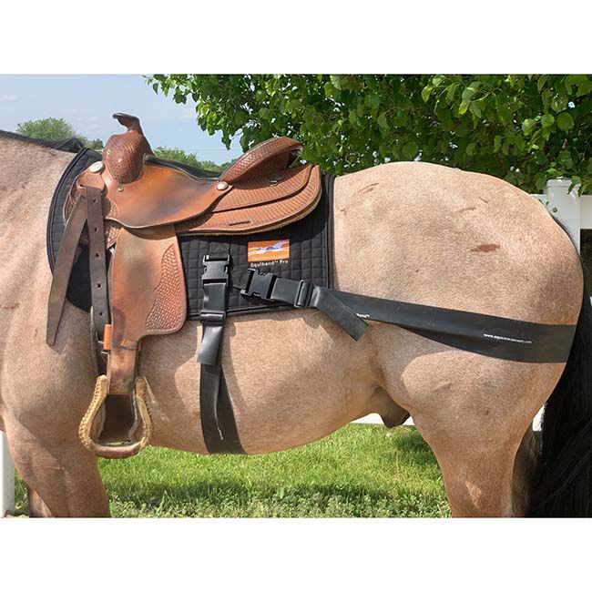 Equicore Concepts Equiband Complete Pro System - Western image number null