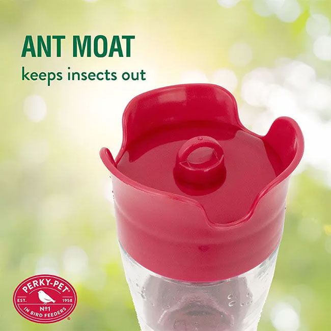 Perky-Pet Pinch-Waist Glass Hummingbird Feeder - Clear - 8 oz image number null