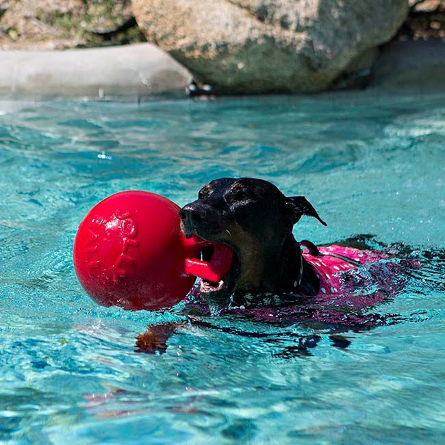 Jolly Pets Tug-N-Toss Dog Toy image number null