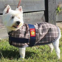 5/A Baker Dog Blanket