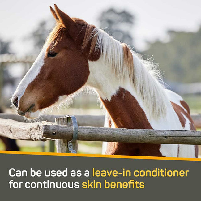 Absorbine Silver Honey Rapid Skin Relief Soothing Conditioner - 16 oz image number null