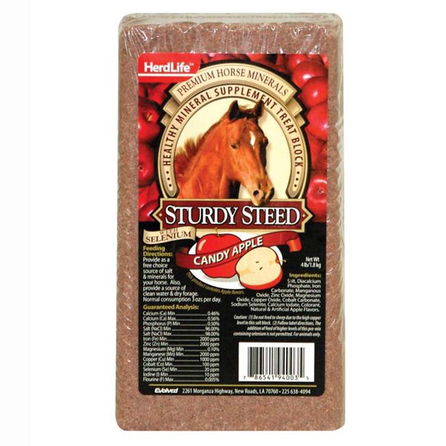Evolved Habitats Sturdy Steed Mineral Block - 4 lb image number null