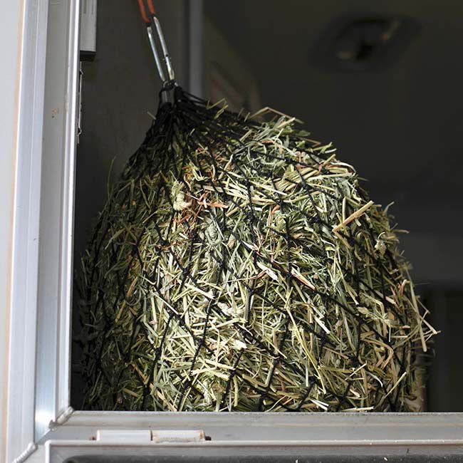 Hay Chix Quarter Bale Hay Net image number null