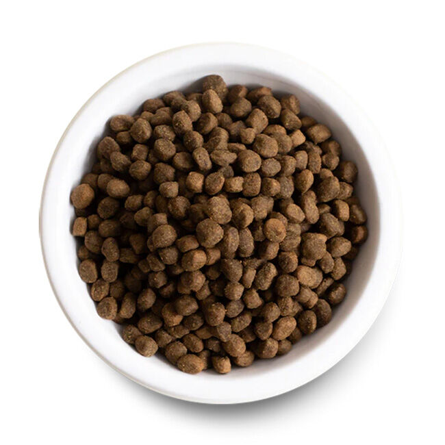 Open Farm Grain-Free Dog Food - New Zealand Venison Recipe image number null