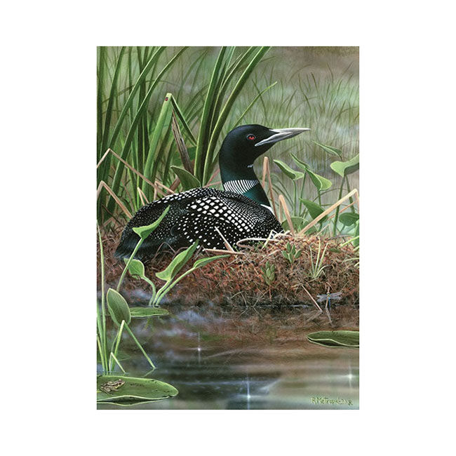 Willow Creek Press 1000-Piece Jigsaw Puzzle - Symbol of the North image number null