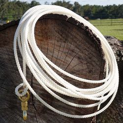 Parelli 45 ft Ground Training Line