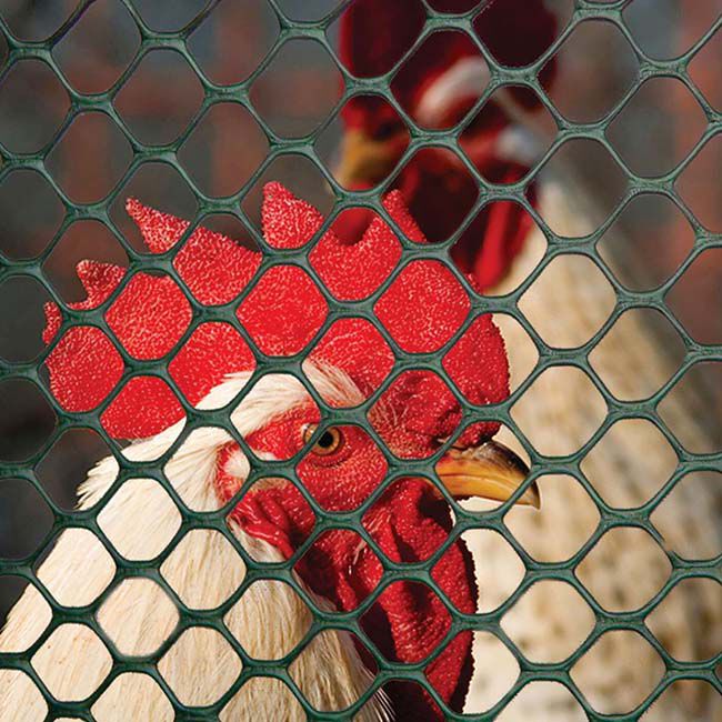 Tenax Polyethlyene Poultry Fence image number null