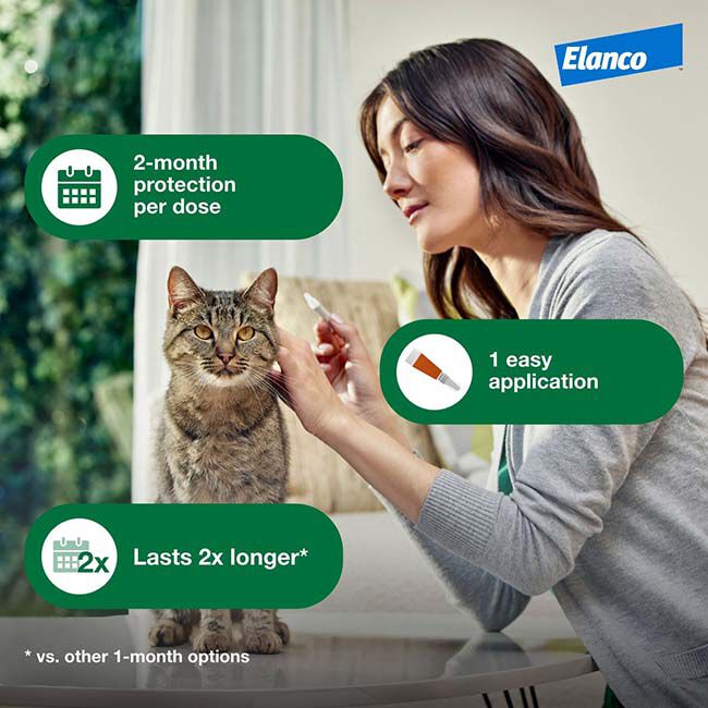 Elanco Advantage XD for Cats image number null