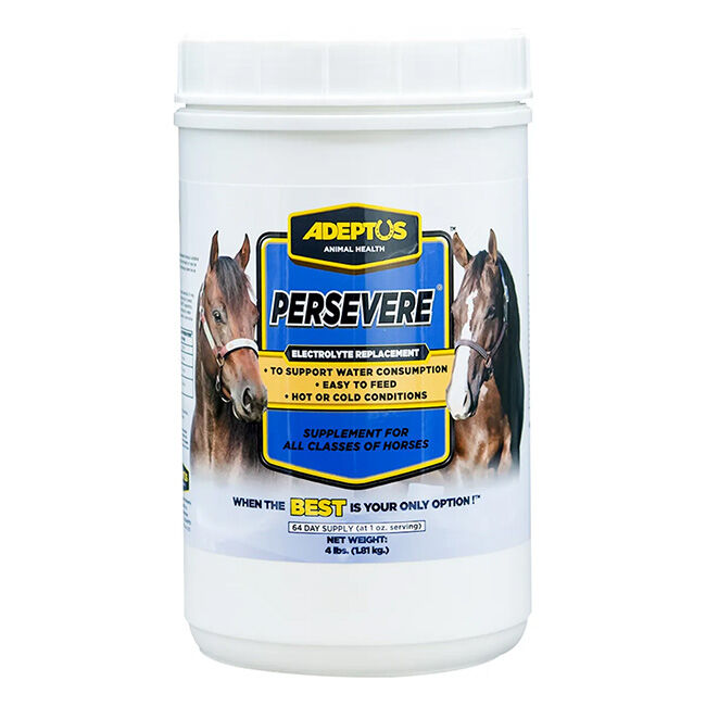 Adeptus Persevere Electrolyte Replacement The Cheshire Horse