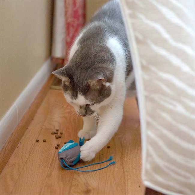 Doc & Phoebe's The Hunting Snacker Interactive Cat Food Toy Kit image number null