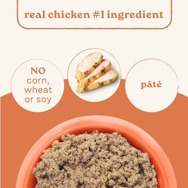 Canidae All Life Stages Dog Food - Chicken & Rice Formula - 13 oz image number null