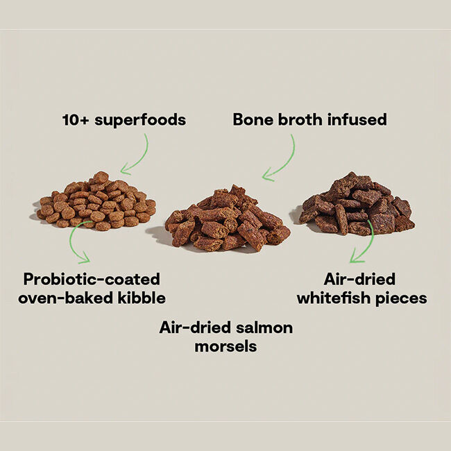 Open Farm Epic Blend High Protein Dog Food - Salmon & Superfood Recipe image number null