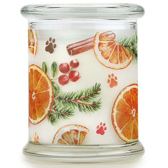 Pet House Candle - Orange Spice image number null