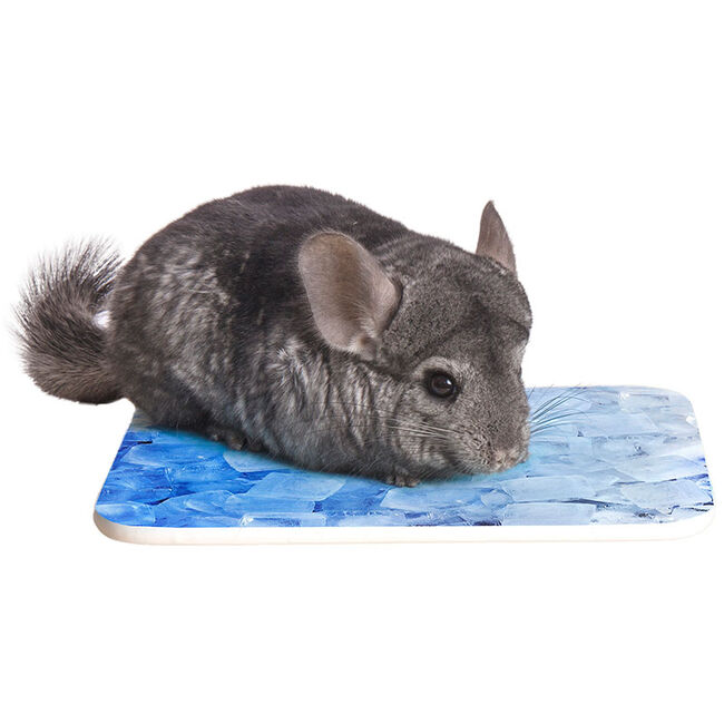 Ware Pet Products Chill Stone image number null