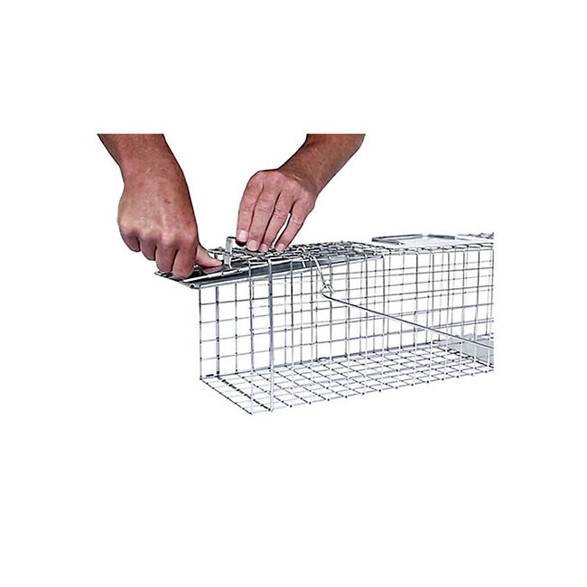 Havahart Medium 1-Door Animal Trap image number null