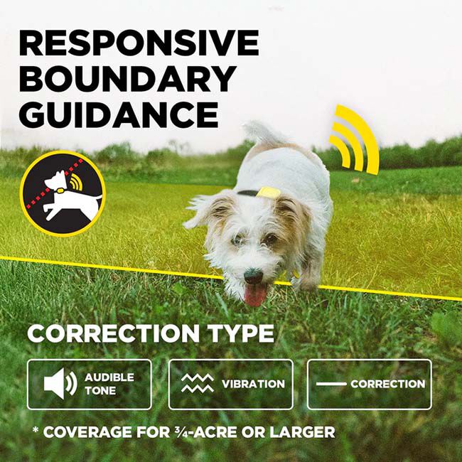 Dogtra GPS Fence image number null