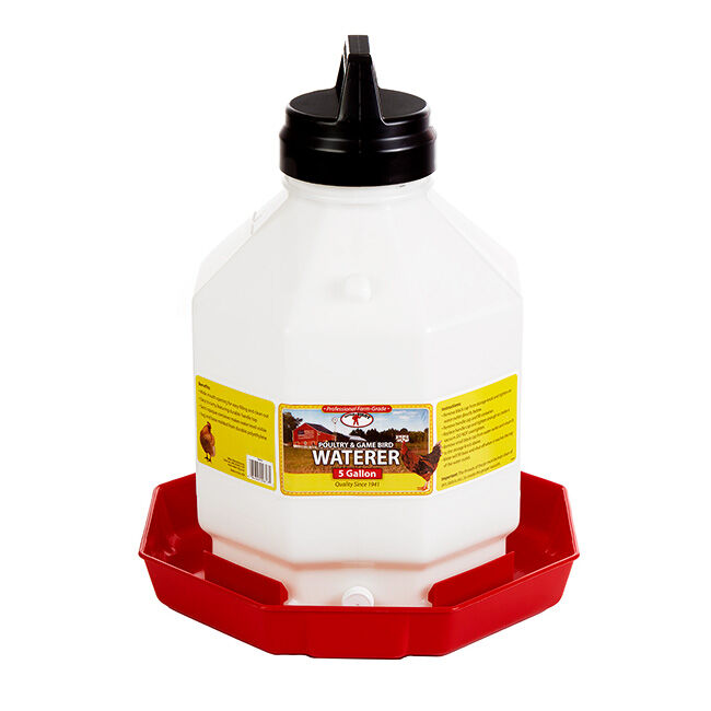 Little Giant 5 Gallon Plastic Poultry Waterer image number null