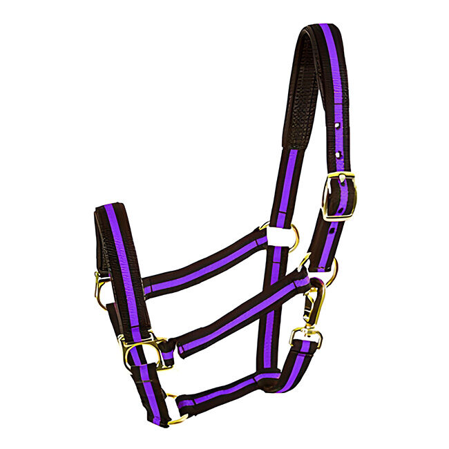 Intrepid International 1" Padded Striped Halter - Yearling/Pony image number null