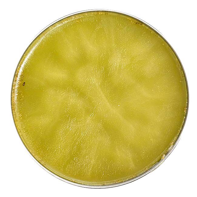 Damon Farm Herbals Nerve Pain Relief Salve - 5 oz image number null