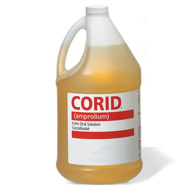 Merial Corid Solution - Treats Coccidiosis in Calves image number null