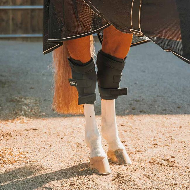 Back on Track Padded Royal Hock Boots image number null