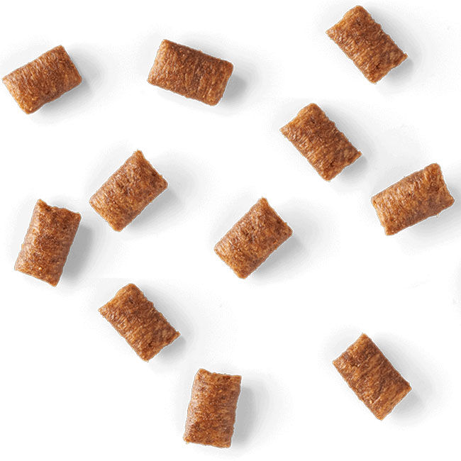 Tiki Cat Duets - Chicken Flavor - 2 oz image number null