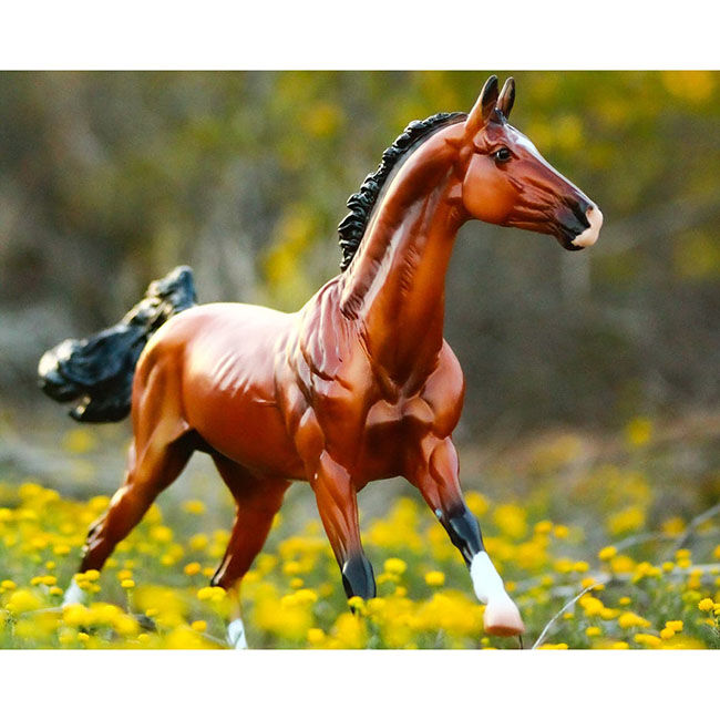 Breyer Adamek image number null