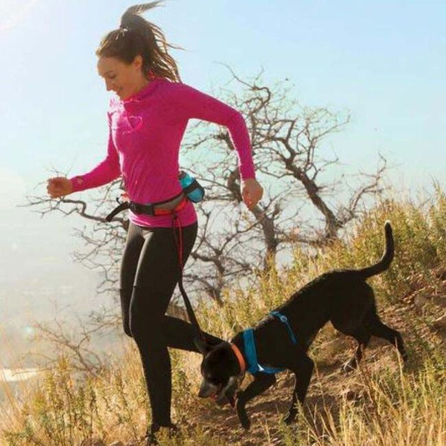 Kurgo K9 Excursion Hands-Free Dog Leash - Gargoyle Grey image number null