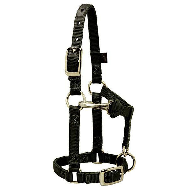 Weaver Equine Mini Horse Adjustable Chin & Throat Snap Halter image number null