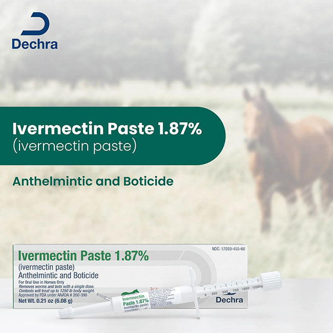 Dechra Ivermectin Paste 1.87% - Apple Flavor - 0.21 oz image number null